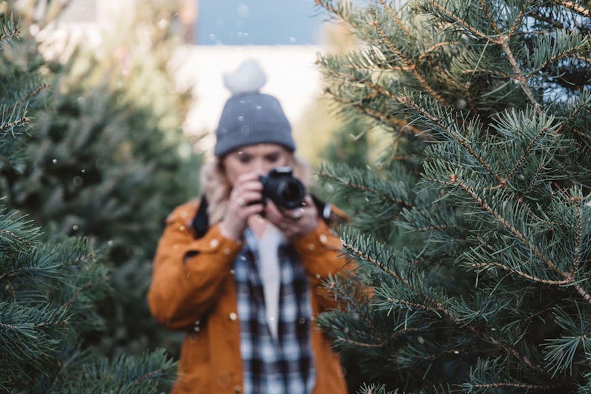 Vulvyc4srdvqrm Best Caption For Christmas Tree