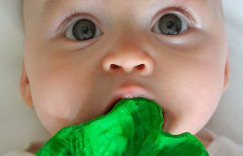 kale baby teether