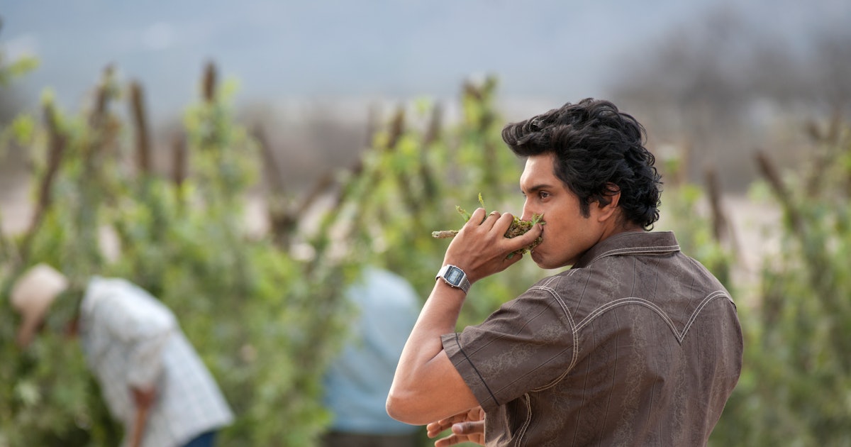 This 'Narcos: Mexico' Drug Trafficker Is Still On The Run In Real...