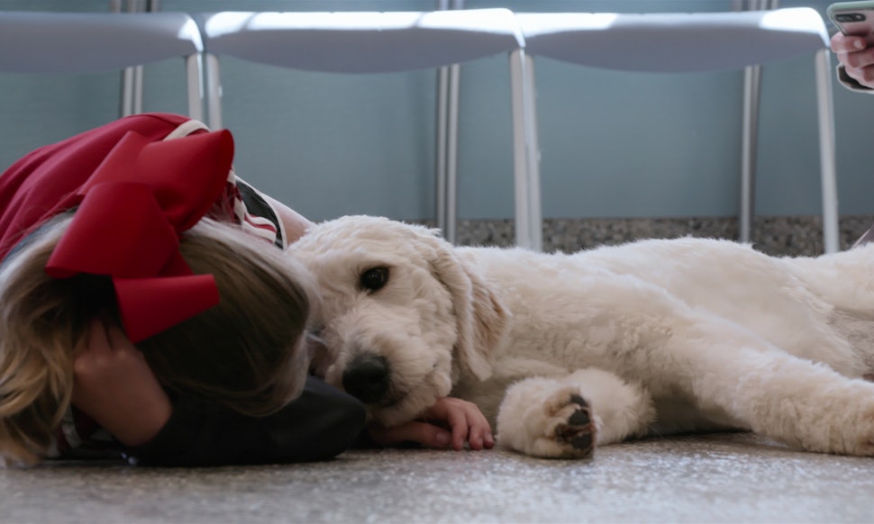 Netflix's 'Dogs' Isn't Sad — But It Will Make You Cry