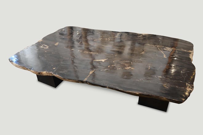 High Quality Petrified Wood Table