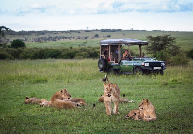 Travel + Leisure World's Best Safari