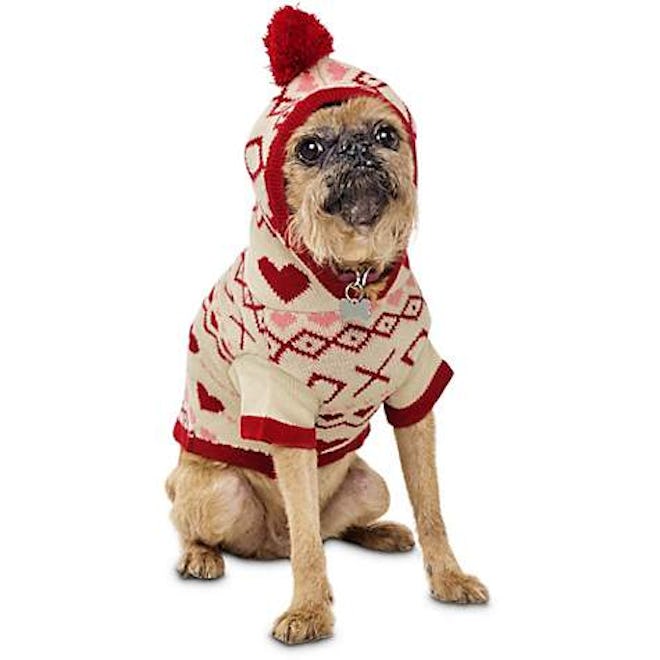 Knit Hoodie Dog Sweater