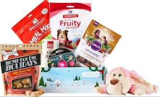 Goody Box Holiday for Dogs By Goody Box