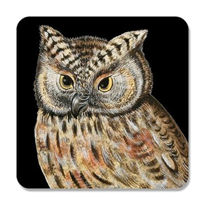 Scops Owl Coaster