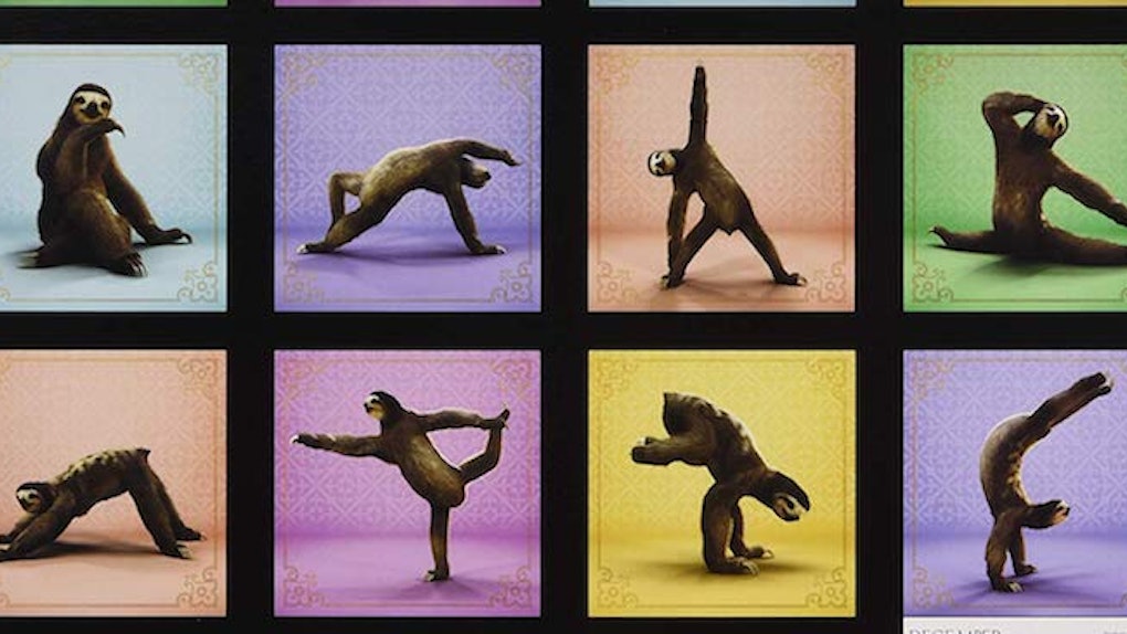 This Sloth Yoga Calendar Will Make You Say "It Me" Every Time You Look
