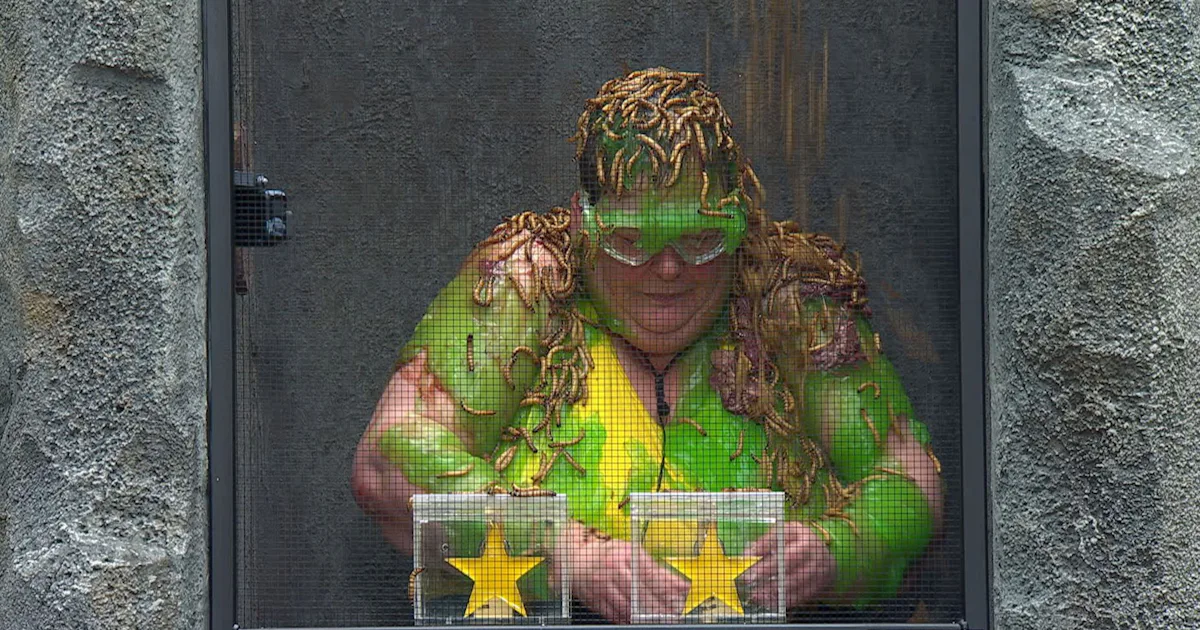 Celebrity Insect Where Do They Get The Bugs From On 'I'm A Celebrity'? The Show Uses So ...