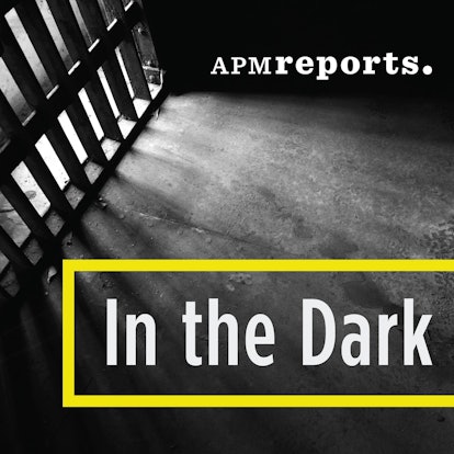 In the Dark true crime podcast