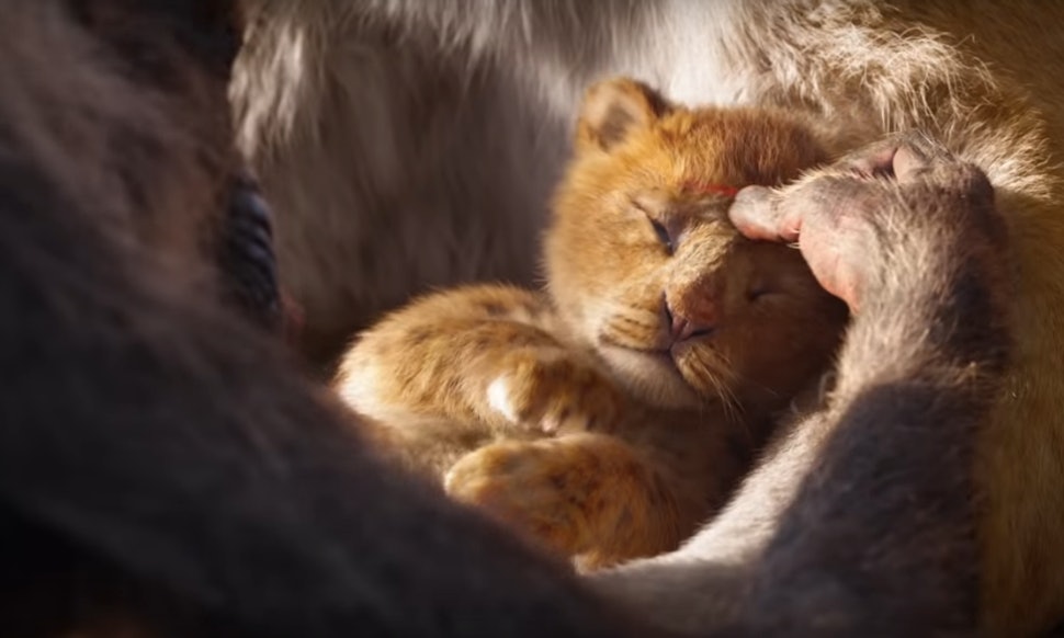 Resultat d'imatges de lion king 2019