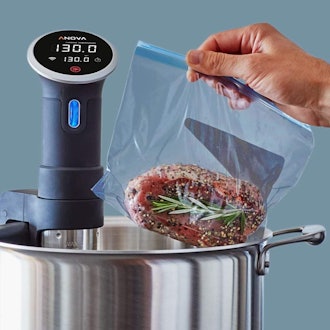 Anova Culinary Sous Vide Precision Cooker 