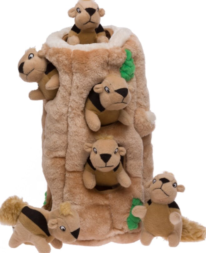 Outward Hound Hide A Squirrel Puzzle Dog Toy