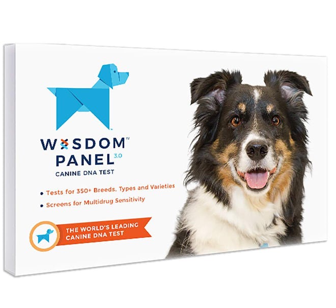 Wisdom Panel 3.0 Breed Identification DNA Test Kit