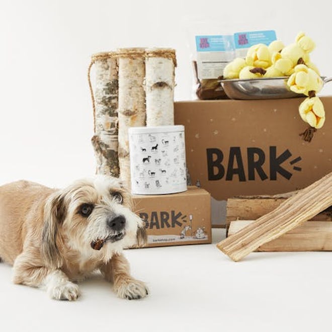 Pupcorn Tin Bundle