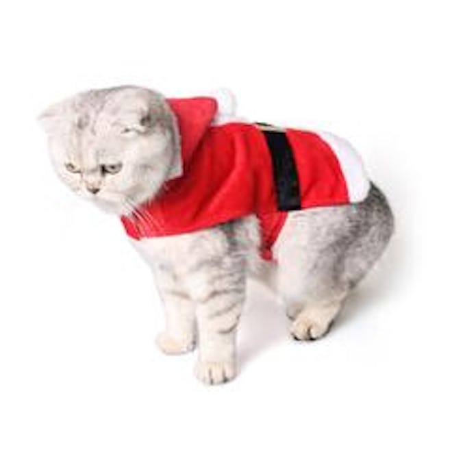 Santa Paws Cat Costume