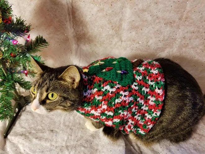 Ugly Christmas Sweater For Cats