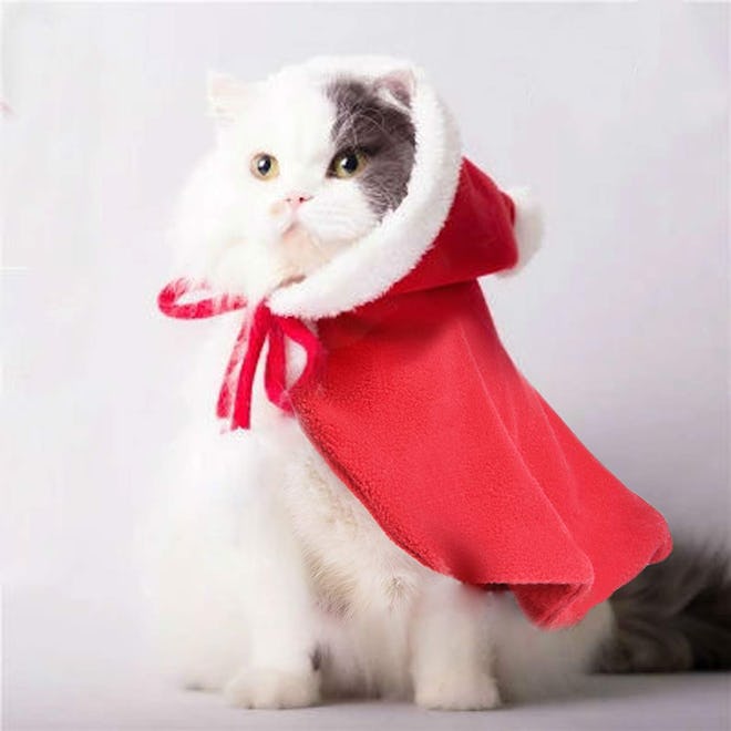 Legendog Cat Christmas Costume