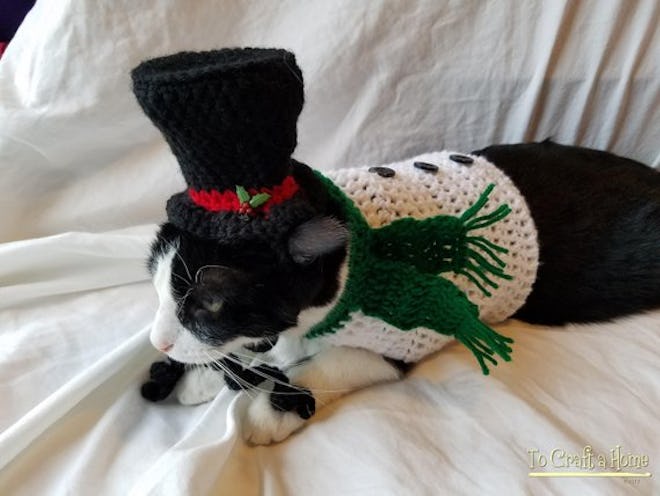 Snowman Cat Outfit