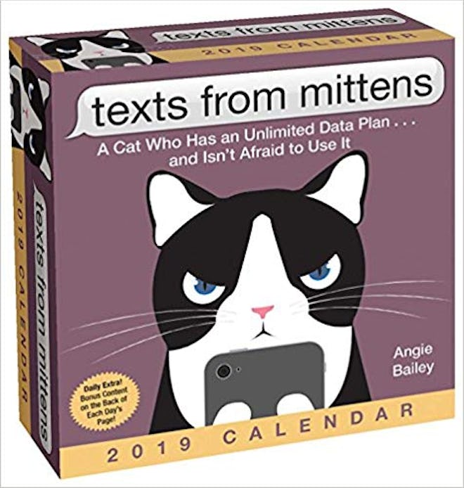 Texts From Mittens The Cat 2019 Day-To-Day Calendar