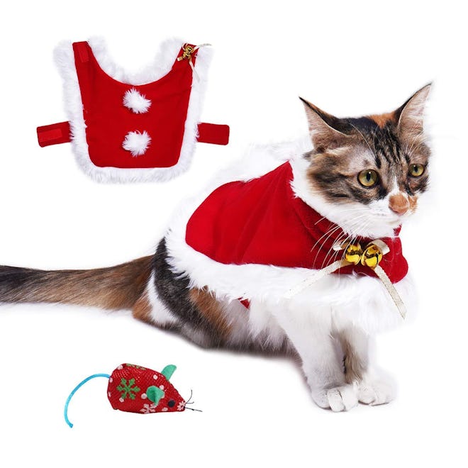 Cat Christmas Costume