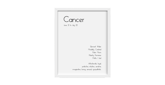 Zodiac Description Poster