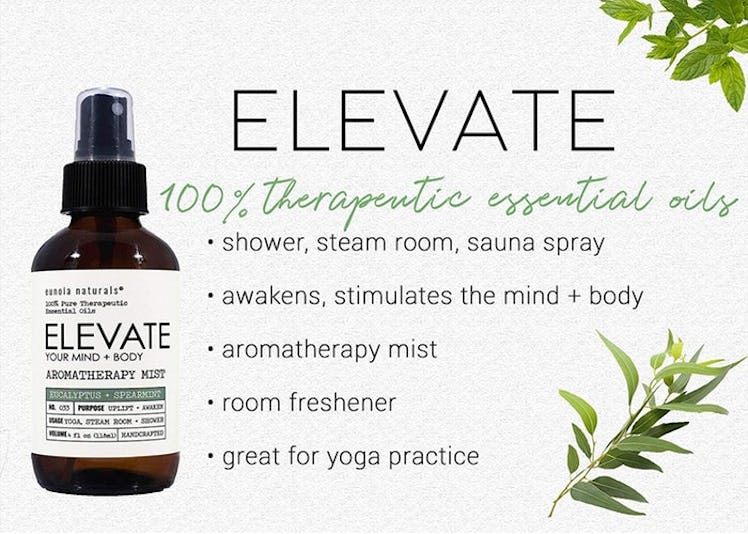 Eunoia Naturals Eucalyptus Shower Spray