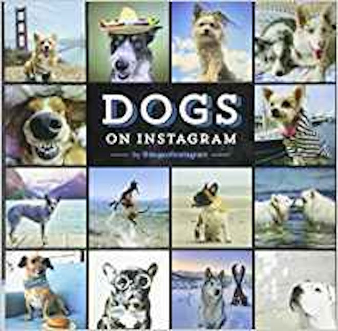 Dogs On Instagram, Hardcover Book