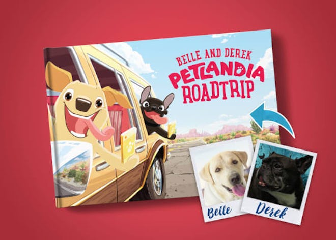 Petlandia Story Book