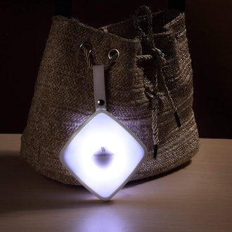 Wasserstein Square Handbag Light