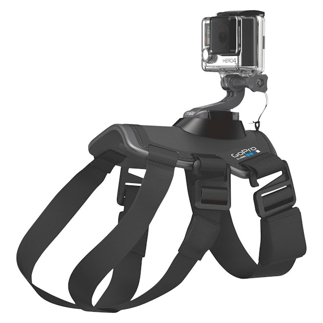 GoPro Dog Harness