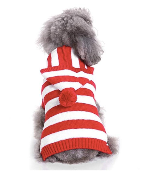 Red and White Striped Dog Sweater