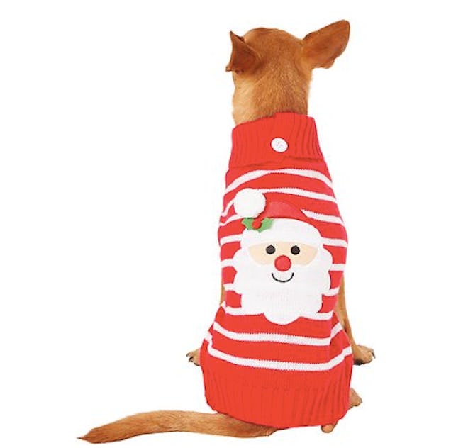 Red Striped Santa Dog Sweater