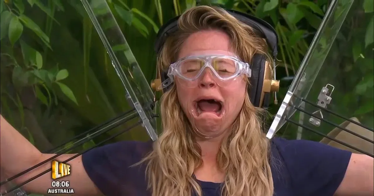 Celebrity Insect Are The 'I'm A Celebrity' Bugs & Animals Deadly? The Fear Is More Than ...
