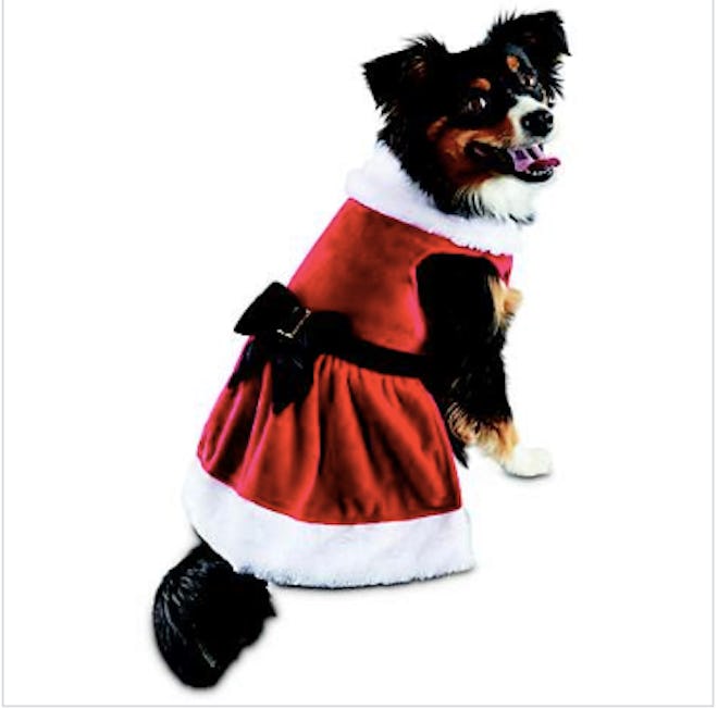 Mrs. Claus Dog Costume