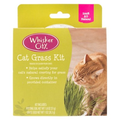 Cat Grass Kit