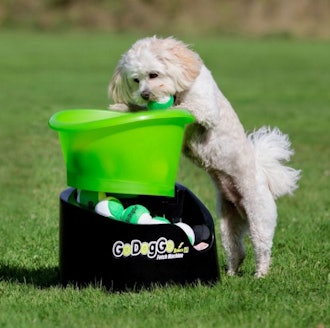 GoDogGo G4 Automatic Dog Ball Thrower