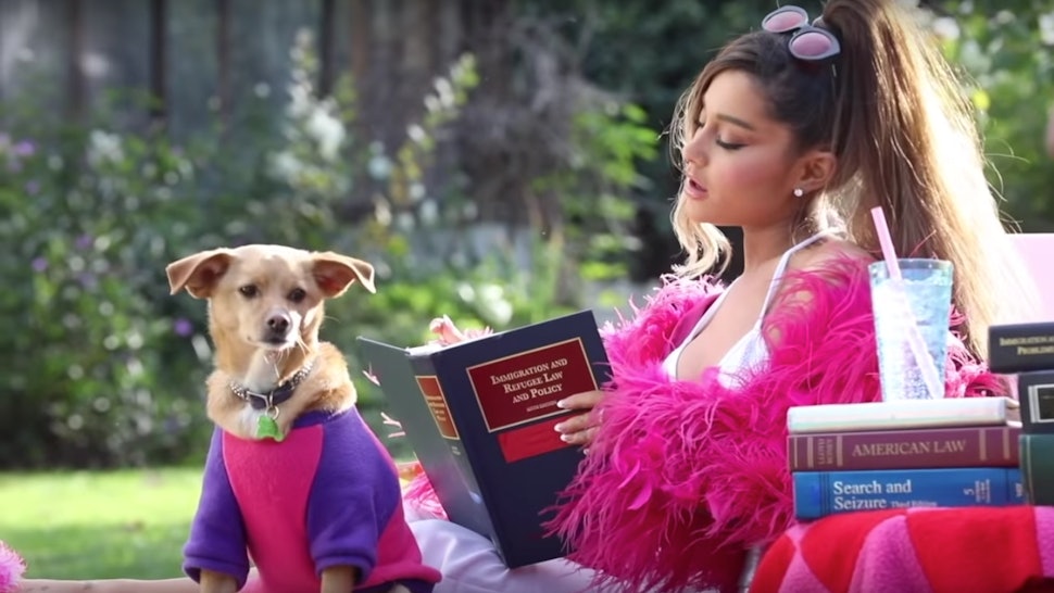 All The Cameos In Ariana Grandes Thank U Next Video