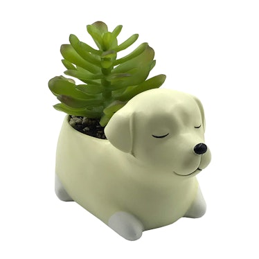 Cuteforyou Cute Animal Shaped Cartoon Home Decoration Succulent Vase Flower Pots