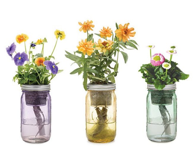 Mason Jar Indoor Flower Garden