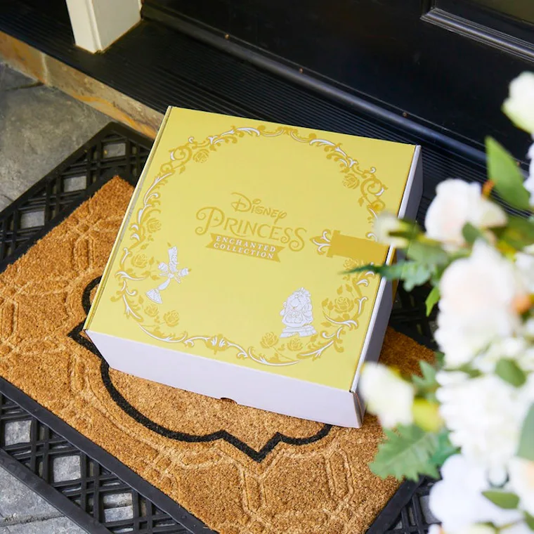 Disney's New Princess Subscription Boxes Are Here, & They're Like A ...