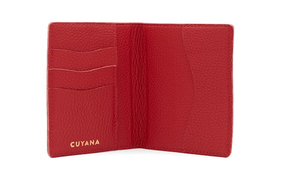 Cuyana Leather Case