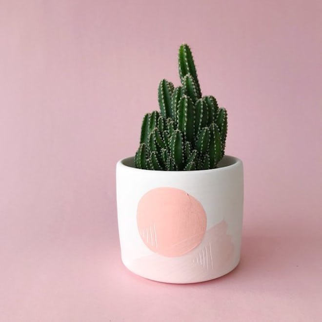 Tierra Sol Studio Lorenzo Cactus + Ceramic Planter