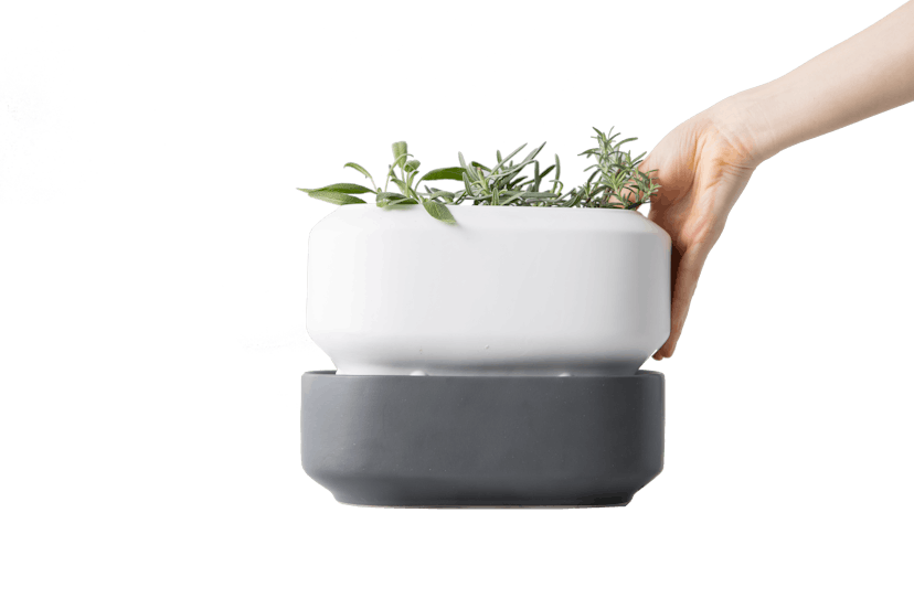 Chef'n Self Watering Herb Pot