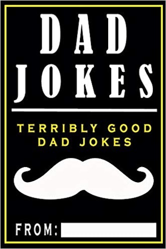 Dad Jokes: Terribly Good Dad Jokes (Volume 1) 