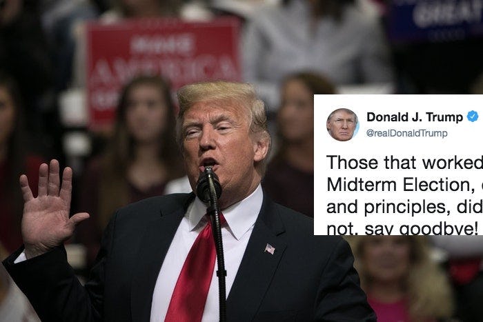 Donald Trump's Response To The Midterm Election Results Won't Surprise ...