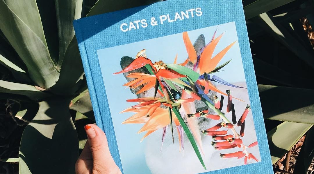 7 Eye Catching Coffee Table Books That Make The Coolest Gifts 7 Eye Catching Coffee Table Books That Make The Coolest Gifts