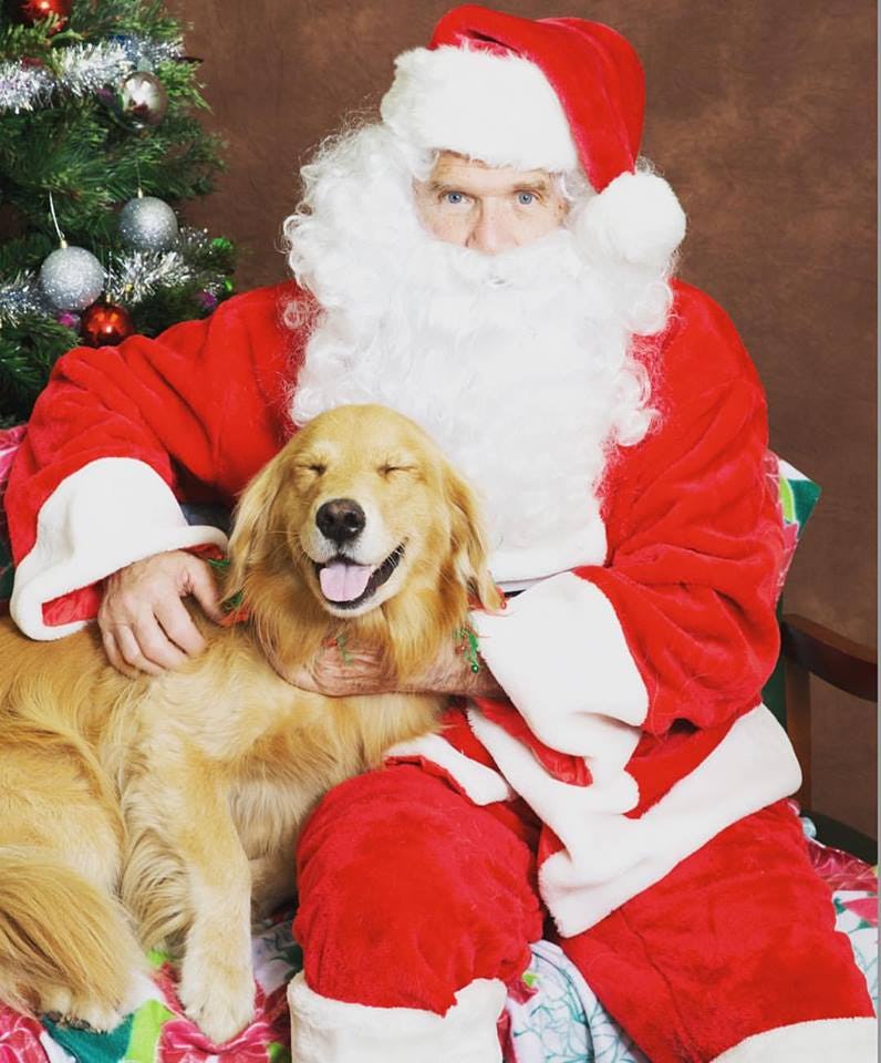 These 38 Santa Photos With Dogs Are The Greatest Gift You Can Get This