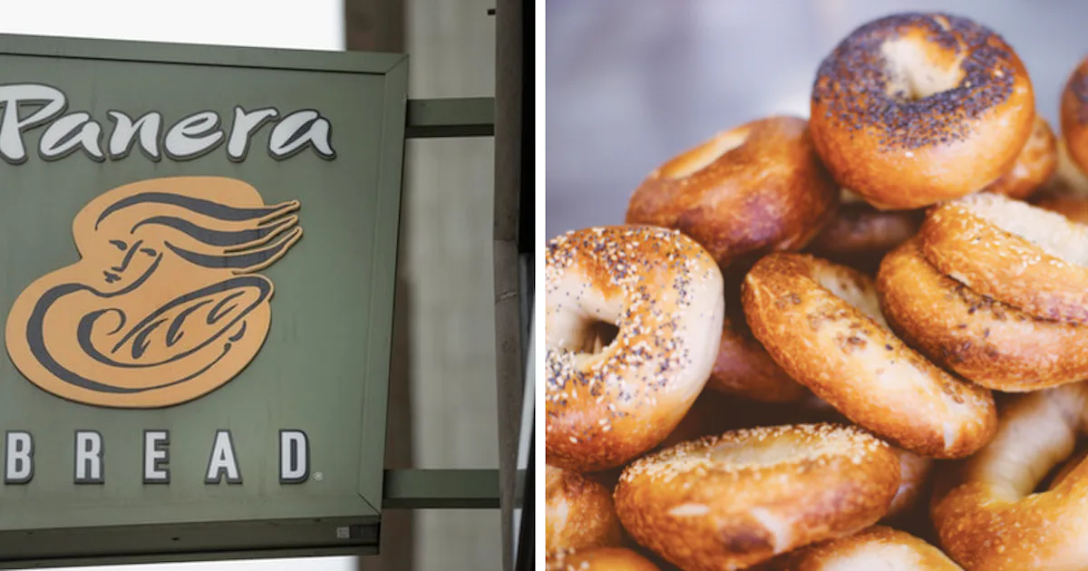 Nansera Resty How To Get Free Bagels At Panera EVERY DAY For The Rest Of The Year ...