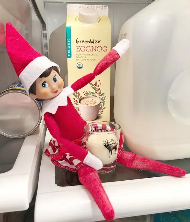 26 Last Minute Elf On The Shelf Ideas That Will Be Your Saving Grace
