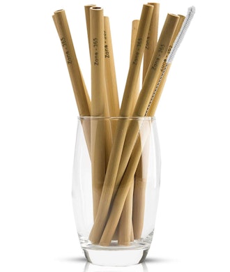 Zone 365 Bamboo Straws (10 Pack)