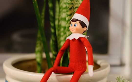an elf on the shelf doll on a potted plant